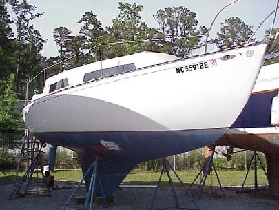 980768 1
