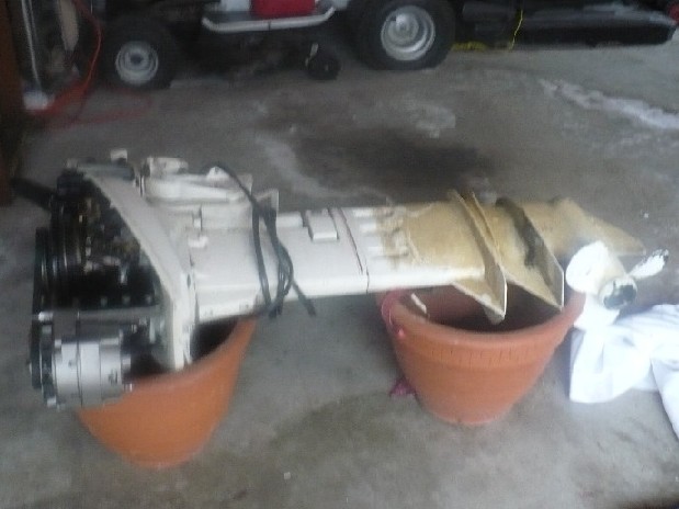 P1000481