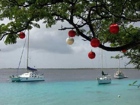 Carribean G26