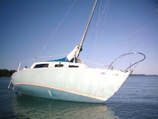 Harvey Aground4