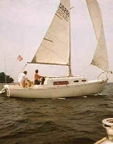 Saildog1 crop