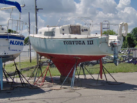 Tortuga lll 1