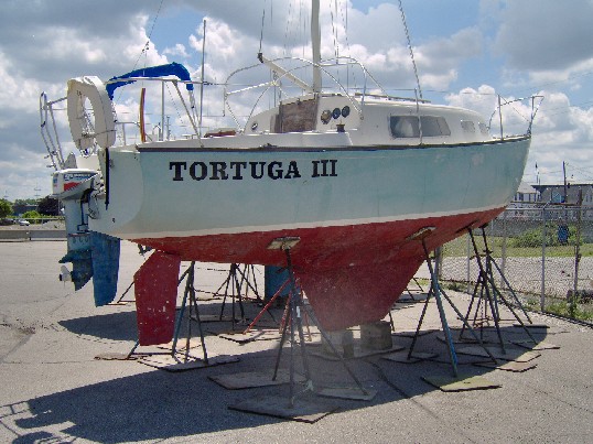 Tortuga lll 3
