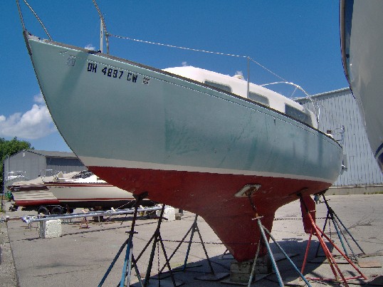 Tortuga lll 4