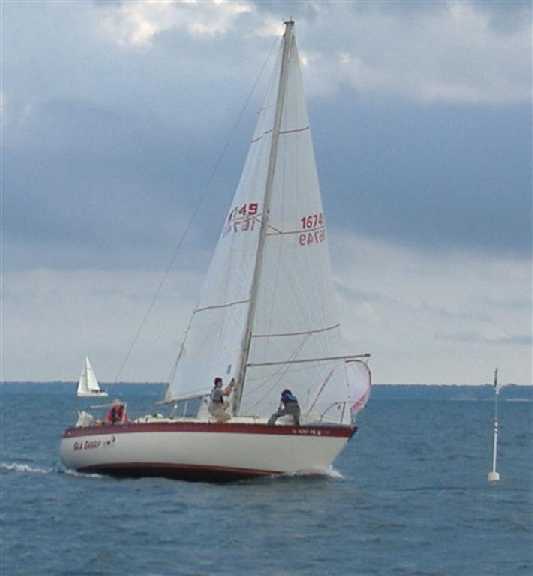 Sea Sharp 2.jpg