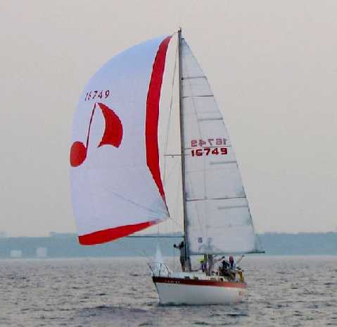 Sea Sharp 3.jpg
