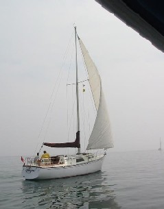 Madrigal 3