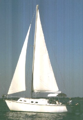 Mystic Wind...002