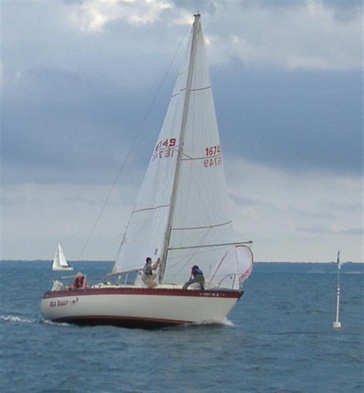 Sea Sharp2