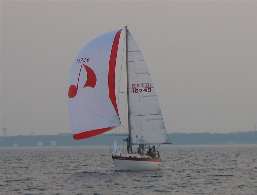 Sea Sharp3