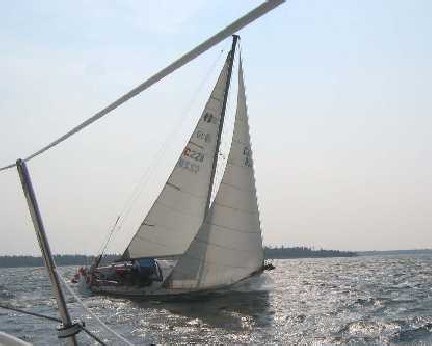 TAO Sail228