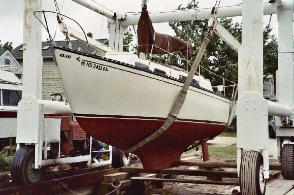 Thumper Launch Bow