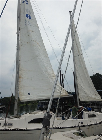 photo 1(Small).JPG