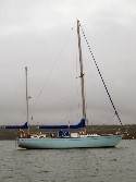 U.S. 41 profile view