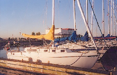 aftica1