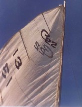 C22 Sail