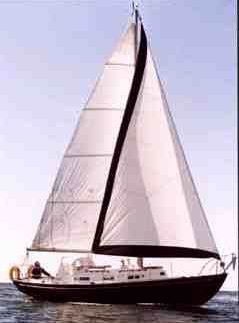 Clasic31