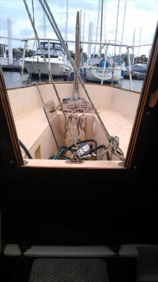 IMAG0035(Small)