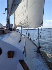 IMG_0521.JPG