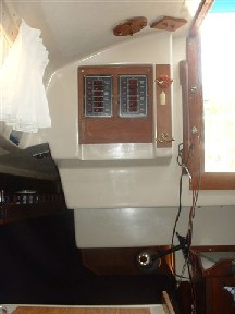 For Sale  Levitas electric