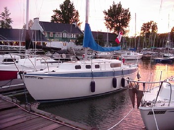 Bald Eagle PORT