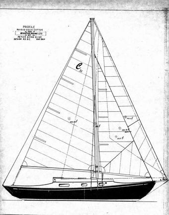 G Classic 31 1