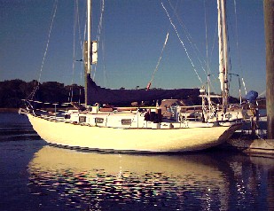 Yellow Rose at Berth 2