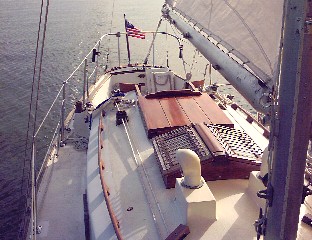 Yellow Rose Deck 2