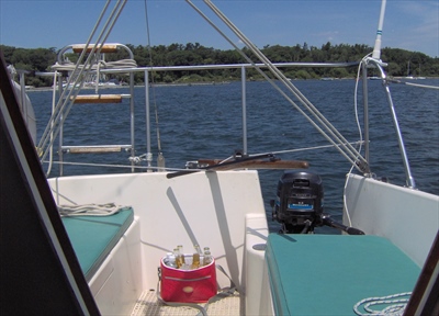 im000384(small).jpg
