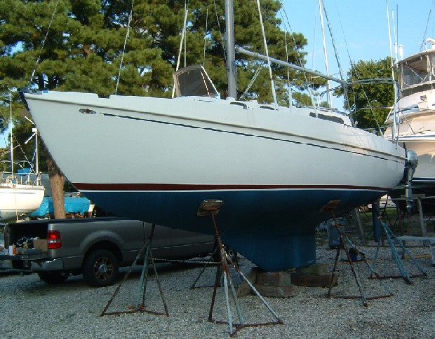 Discovery 7.9 "Tonic", photo 2
