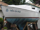 Before the Wind 2